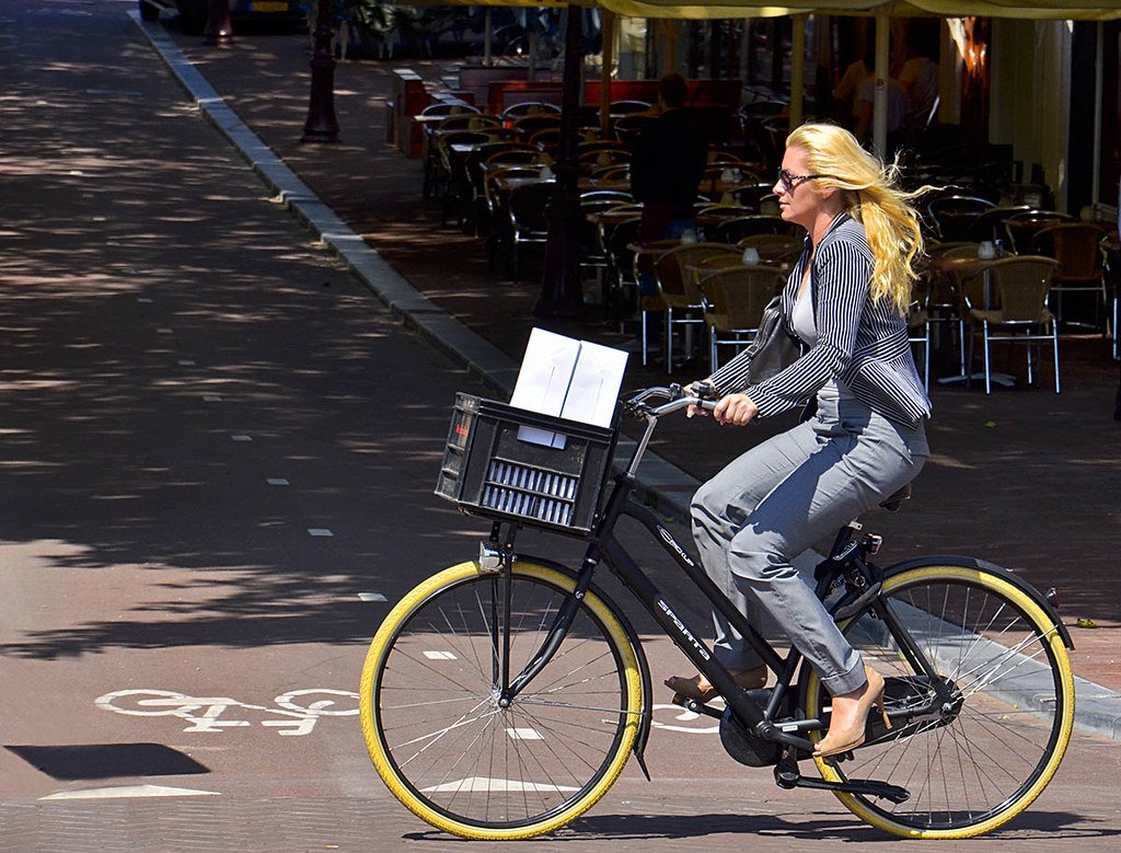 Real Dutch Bikes tweet media