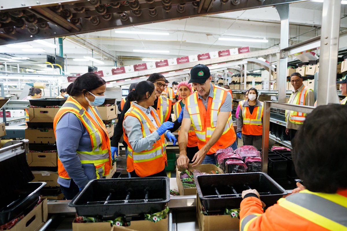 JustinTrudeau's tweet photo. It’s cherry season – and from picking them at Lutz Family Farm to packaging them at BC Tree Fruits Co-op, we got to watch the whole process unfold today. To the workers who showed us around, and to everyone who helps keep British Columbia’s fruit industry thriving: Thank you. https://t.co/h9UhsG4eQq