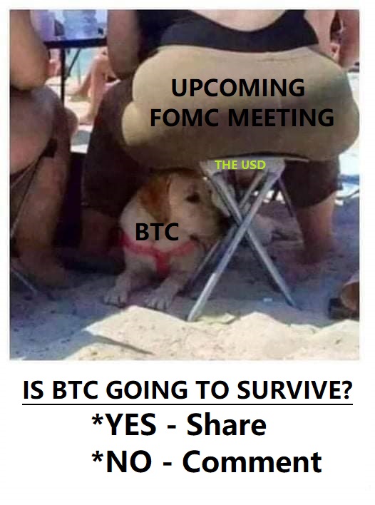 Gate Layer tweet media