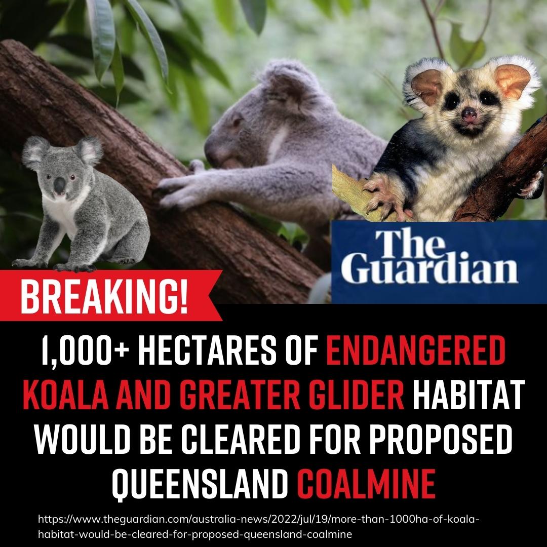 Stop Adani tweet media