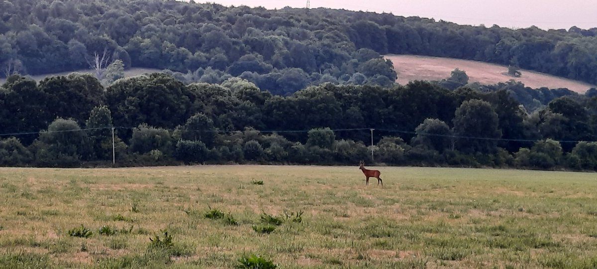 akajools's tweet image. 5 30am, another  lovely  morning