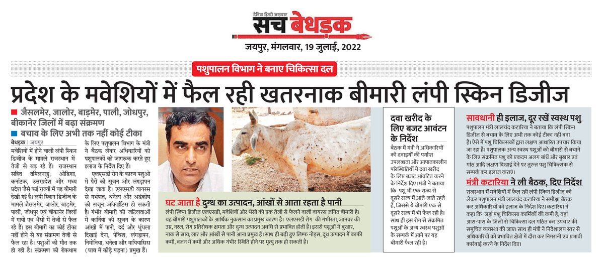SachBedhadak's tweet image. पशुपालन विभाग ने बनाए चिकित्सा दल, प्रदेश के मवेशियों में फैल रही खतरनाक बीमारी लंपी स्किन डिजीज

@KatariaLalchand 
#RajasthanNews #LumpySkin #Skindisease #Cattle #RajasthanWithBedhadak