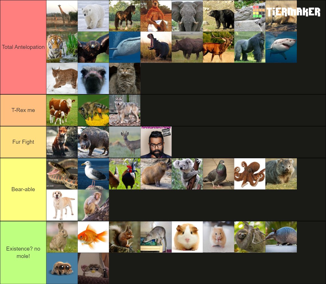 JayJayRZA tweet media