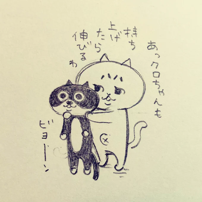 猫は液体 