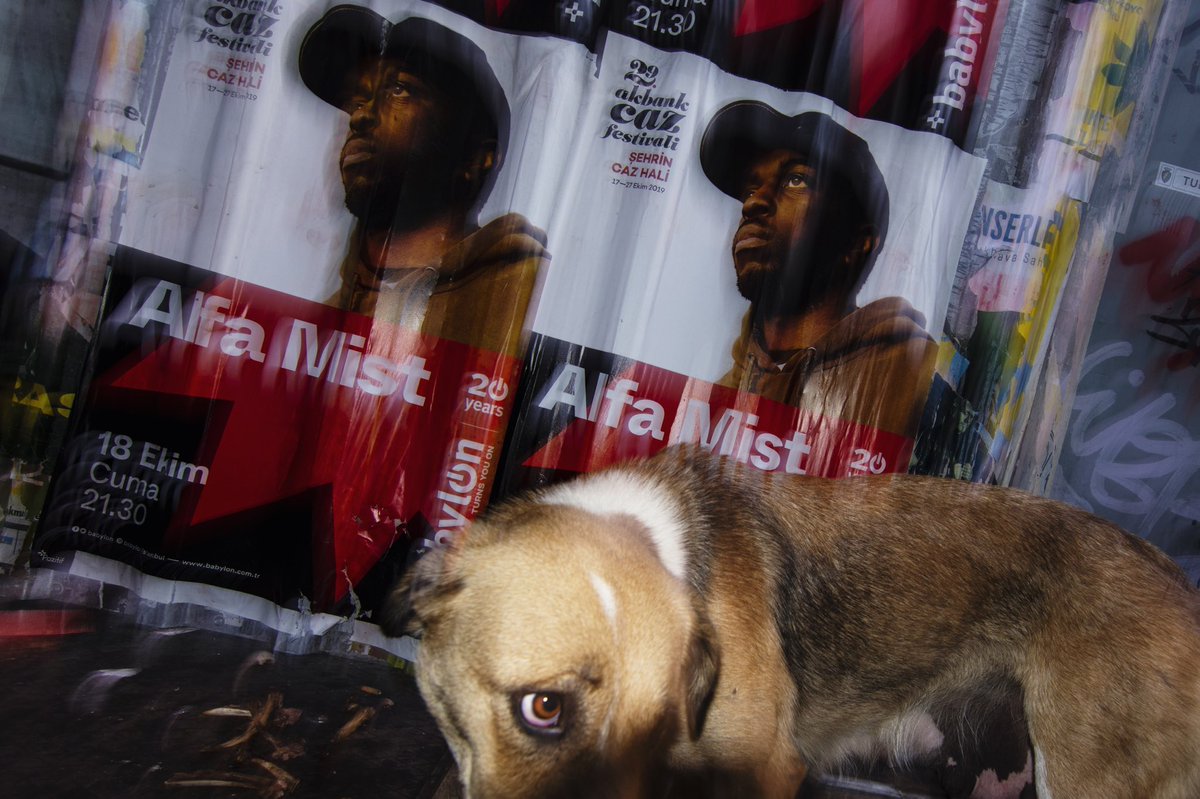 GM GM GM to everyone and have a creative and peaceful day 📸✊🙋‍♂️

🤜💥💥💥🤛

W.A.G.M.I. 
(We Animals Gonna Make It) <a href="/opensea/">OpenSea</a> 

#nft #nfts #NFTCommunity #nftcollection #artshare #nftart