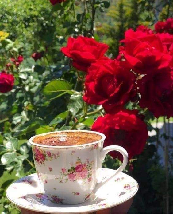 Mughal Builders 👷‍♂️ (@muhamma31242421) on Twitter photo 