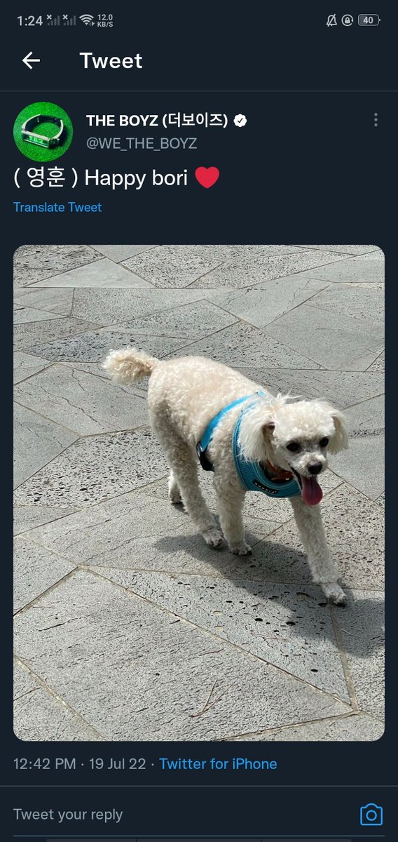 BbangHoon14's tweet photo. Yeyyy my 2nd birthday in deobi land!! And younghoon just updated😭🥰 https://t.co/VGN6x78W1i