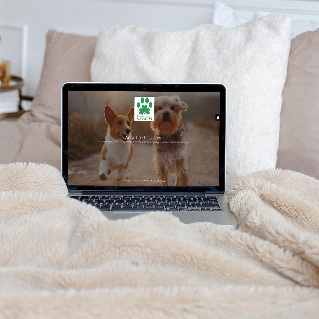 LCDesign10's tweet photo. ∙∙ NEW Project 🐾 ∙∙
Looking forward to this one! We are revamping Lucky Lucy Foundation's website!
Keep an eye on our page to see the results 😉
#lcdesignsa #lcdesign #graphicdesign #websitedesign #wordpress #revamp #websiterevamp #comingsoon #newproject https://t.co/4ukI5GflvW