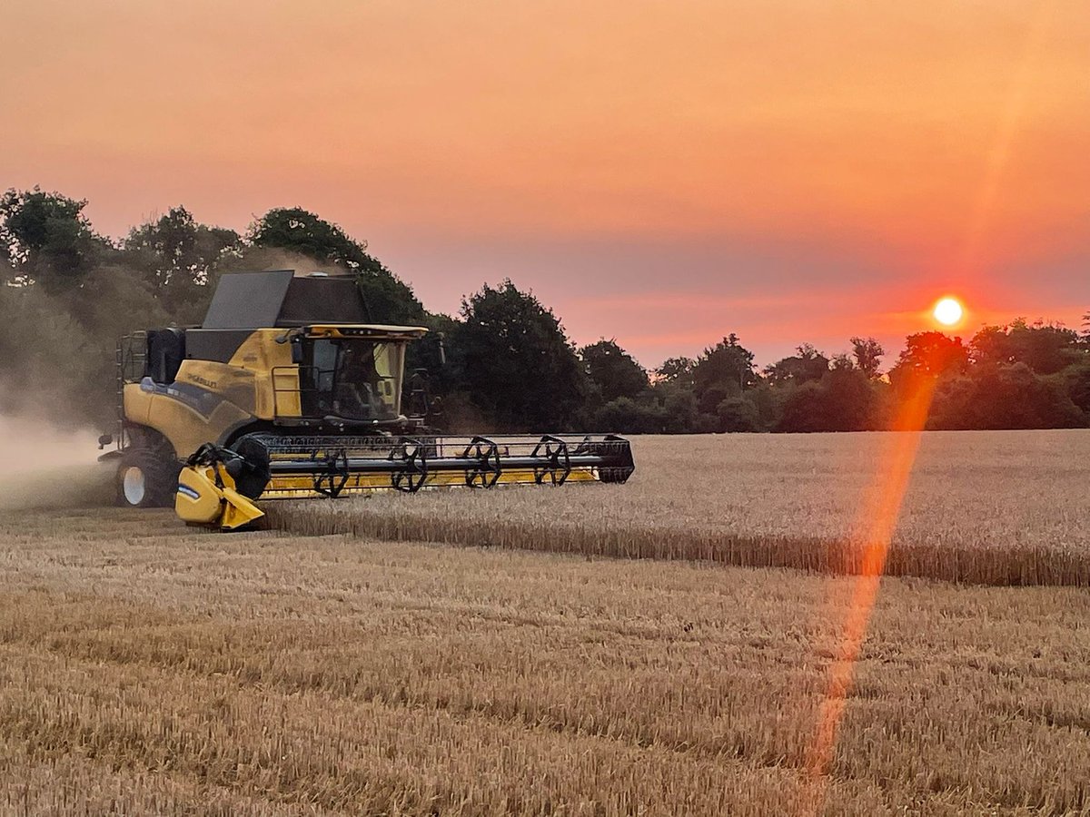 phagriculture's tweet photo. 🌾canicule 2022, on s'adapte, démarrage de la moisson aux aurores ce matin ! 🌄 https://t.co/rZmqaBYQFO