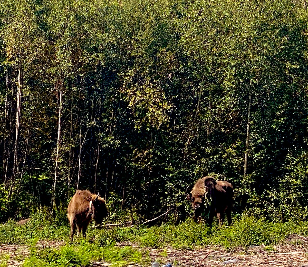 Paul Whitfield tweet media