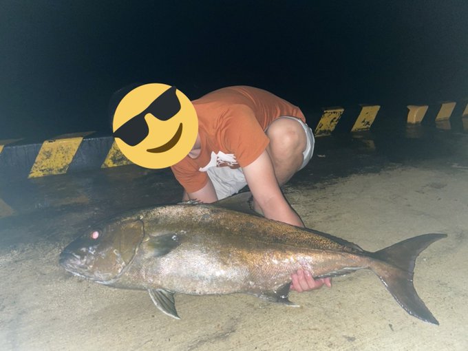 島魚のtwitterイラスト検索結果