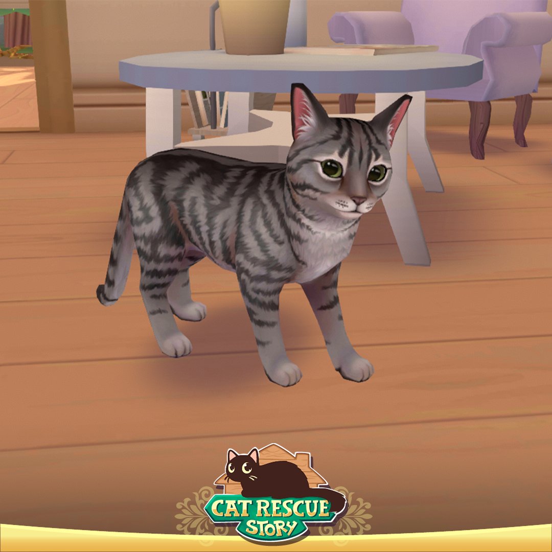 Cat Rescue Story: lar de gatos na App Store
