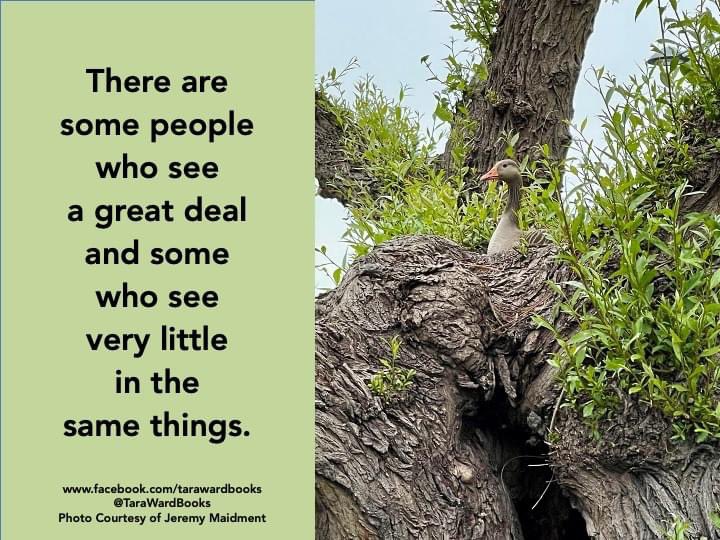 TaraWardBooks's tweet photo. This is an #AldousHuxley quote that I like ... #Mindfulness #HowYouSee https://t.co/00U11XkEwB