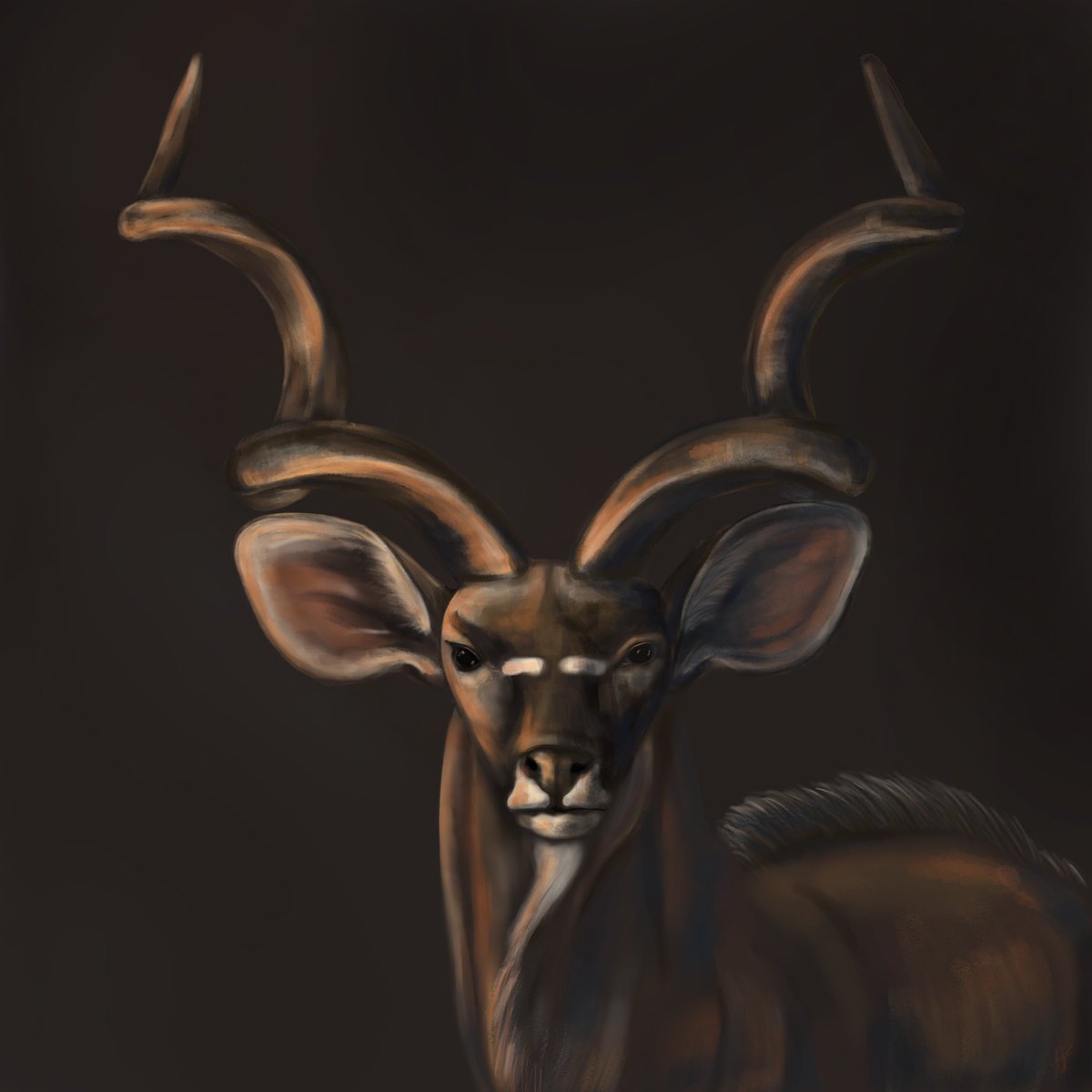 Busy working on a new project. Happy Tuesday everyone!