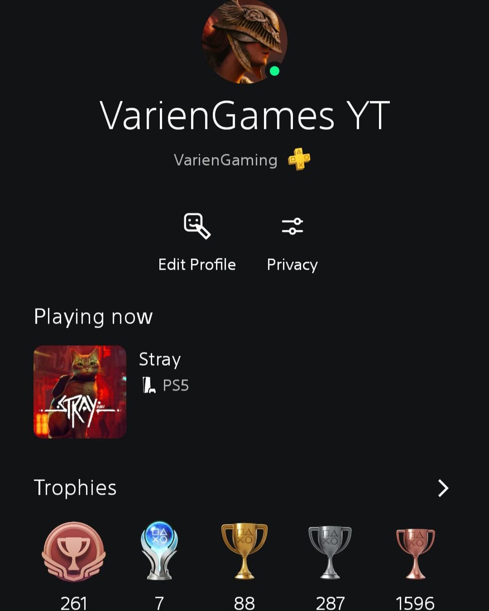 VarienGamesYT's tweet photo. Its finally here!! I can meow, 10/10! 

#strayps5 #straygame #stray #bluetwelvestudio #ps5 #videogames #cat #cats #cyberpunk #gaming #playstation #playstation5 #sony #variengamesyt #VarienGames #variengaming https://t.co/5g1sbEYMnX