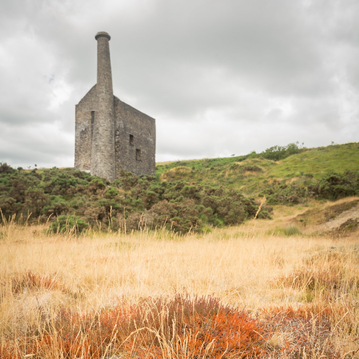 You may recognise the iconic 'leaning chimney' of Wheal Betsy, the last remaining industrial mining building on Dartmoor.

#HereForCulture