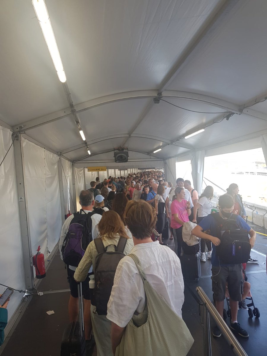 Pauline Vos 🍉 tweet media