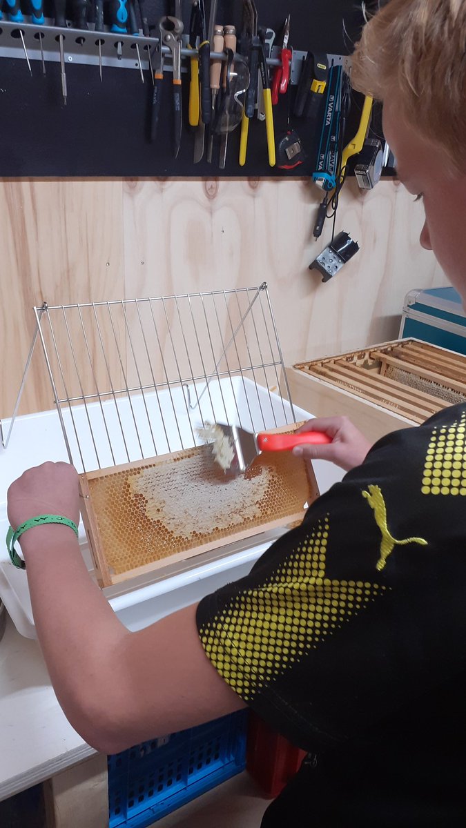 NetwerkvoorJou's tweet photo. Zomerprogramma☀️. Maandag hebben we honing 🍯geslingerd en een kaars🕯gemaakt bij een imker🐝. Ook hebben we veel gehoord over de bijen. Hoe ze met elkaar communiceren... echt BIJzonder😅 #crombees #imker #zomerprogramma #netwerkvoorjouveenendaal #leerzaam #creatief #samen #club https://t.co/oiGeruOs7q