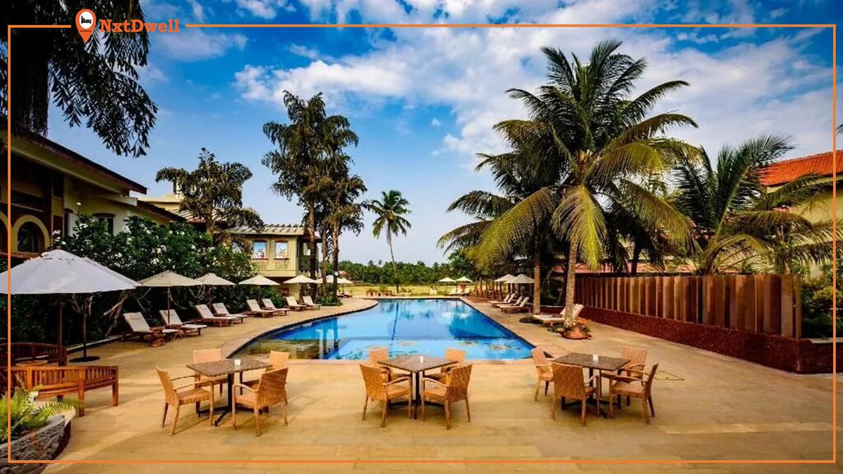NxtDwell's tweet photo. Popular for its evergreen resorts and scenic beauty of Beaches is a beautiful spot to spend some quality time with your friends and family.
Find Best Deals only on NxtDwell
Get Discounts and offers
#NxtDwell #hotelsandresorts #travel #monsoonseason https://t.co/TMntx87Jm0