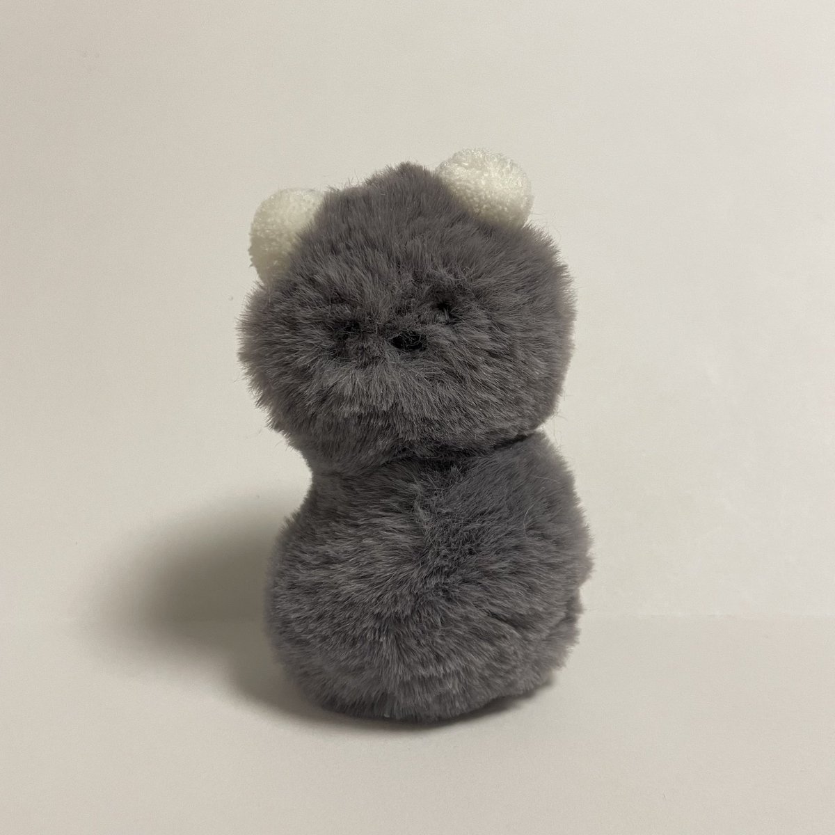 리리피피 tweet media