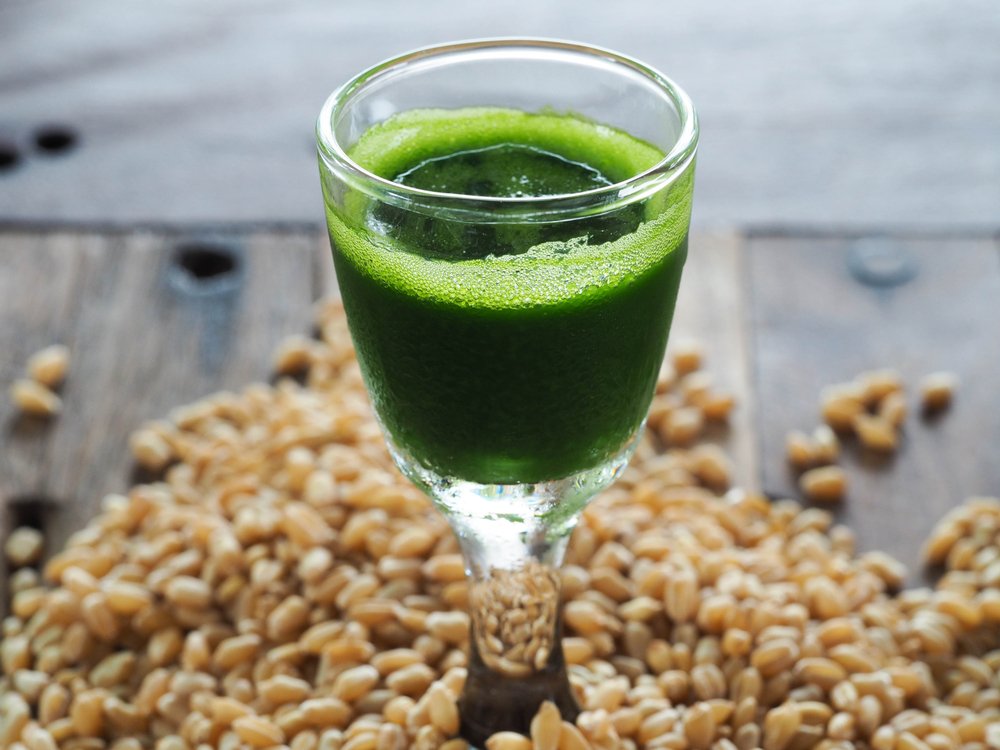 SmoothieShaper's tweet photo. https://t.co/GTkdkN1MO3