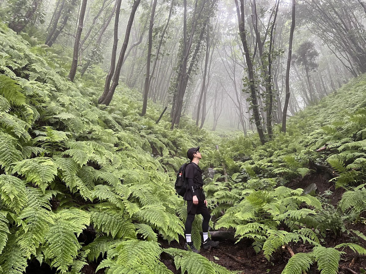산에서 이런 요정 만나는 방법좀 알려주세요(내공100)
