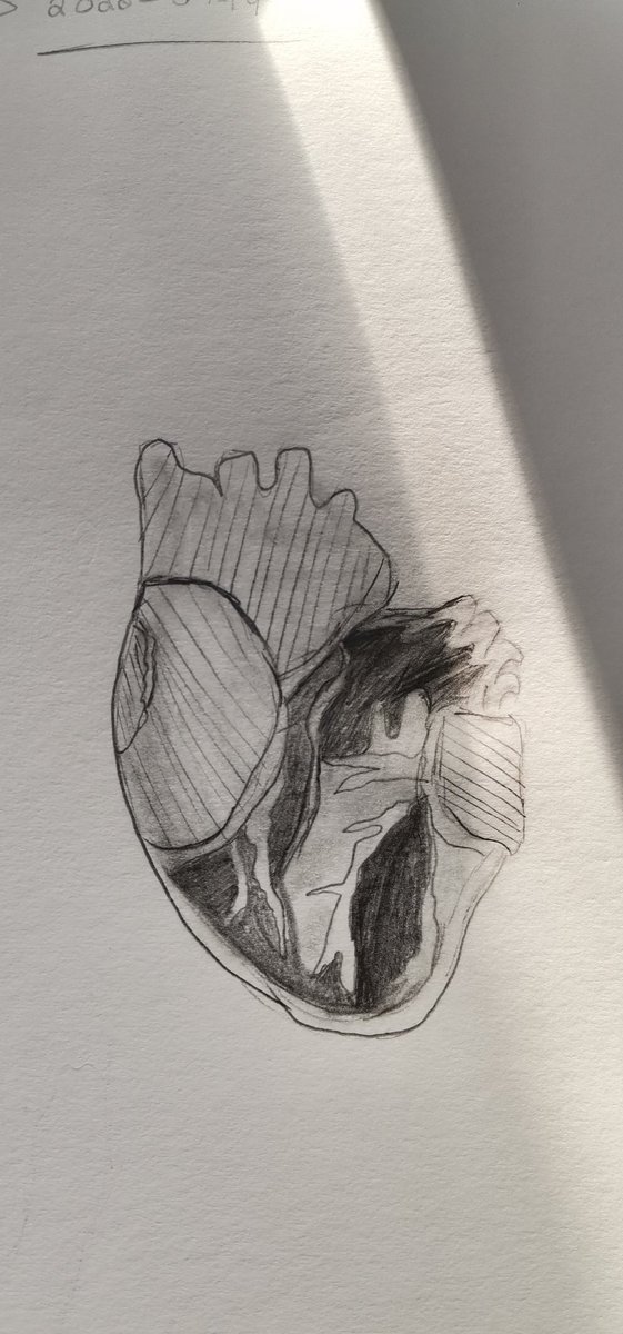 MeganKruger31's tweet photo. Cause I've Got Jet Black Heart @5SOS @Michael5SOS #jetblackheart 🖤♥️🎶🎸 https://t.co/IOqnXiTXkA
