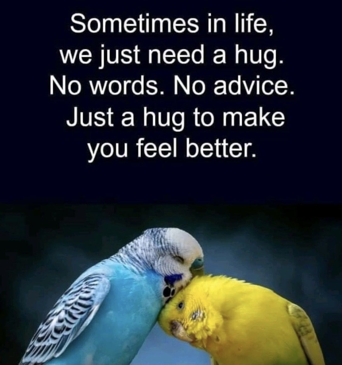 MeHeLP6's tweet photo. One kind word. One hug. 
It doesn’t take much to make a difference! 
#mentalhealth #KindnessMatters #MentalHealthMatters #mentalhealthsupport #bestrong #BeKind #Mehelp2022 #mehelpindiafoundation
@RaghuRaghavan1 https://t.co/vaJ6UlyYw0