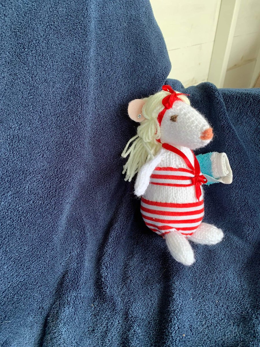 bailiffgatemuse's tweet photo. Open today 10-4pm
#seasidefun2022 #besidetheseaside #mousehunt #Museumdetectives #history #local https://t.co/FAA1A7FXJi