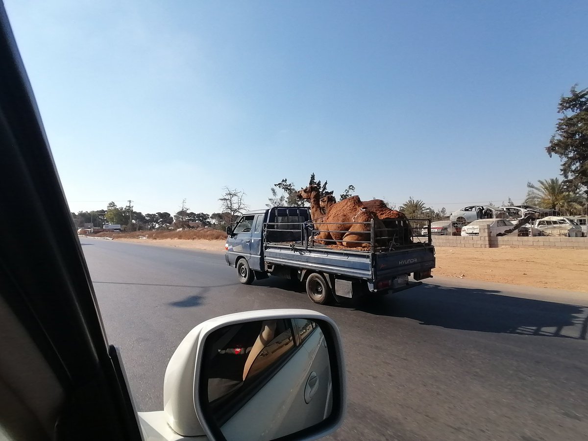 73Kosy's tweet photo. Today we are traveling from #Tripoli to #Misurata to visit the Field office and the clearance sites of @free_fields looking forward to reach there and see the impact of their work #MINEACTION #ExplosiveRemnantsofWar https://t.co/gC20dQG6NI