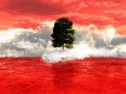 samykleyb's tweet photo. وفق مؤشر الدولة" الأسوأ في نوعية الحياة" الصادر عن مؤسسة #نامبيو الدولية صار #لبنان في المرتبة 242 من أصل 248 دولة،وباتت #بيروت تقارع #نيويورك بغلاء المعيشة،ونسبة التضخم ألف% والفقر 80 % من السكّان.
لا بأس فالساسة وعدوا الشعب بثروات النفط،وبتفاهم دولي واقليمي،والشعب غفور مسامح https://t.co/tiOoqXxq7T