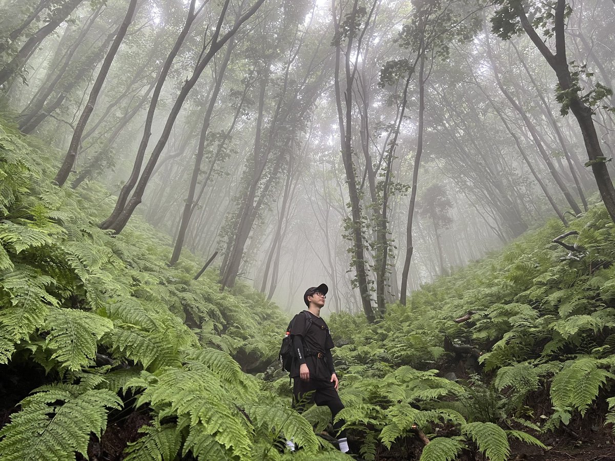 등산 강아지랑 등산 고양이