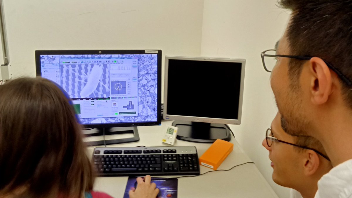 ccitub's tweet photo. Investigadors de @DTUtweet i @UniBarcelona visiten els #CCiTUB.

En el marc del projecte europeu @StretchBio, han observat el comportament de teixits a sobre de superfícies cobertes de nano pilars al #TEM #SEM de  @CampusClinicUB 

👉https://t.co/wtxVE4vNbw https://t.co/ox8JBPopV8