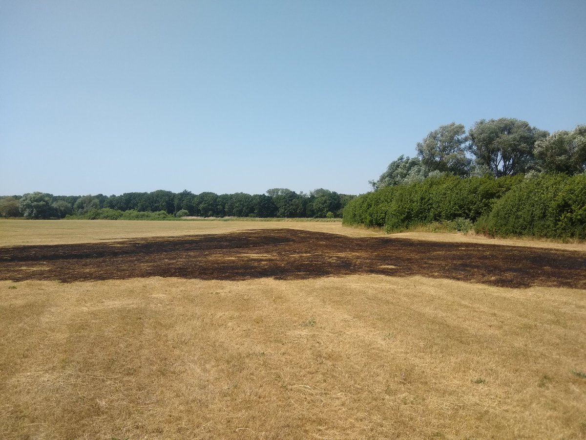 Mr0Flibble's tweet photo. You know it's hot when the meadow sets itself on fire 

#heatwave #uk https://t.co/ODzazUhyoC