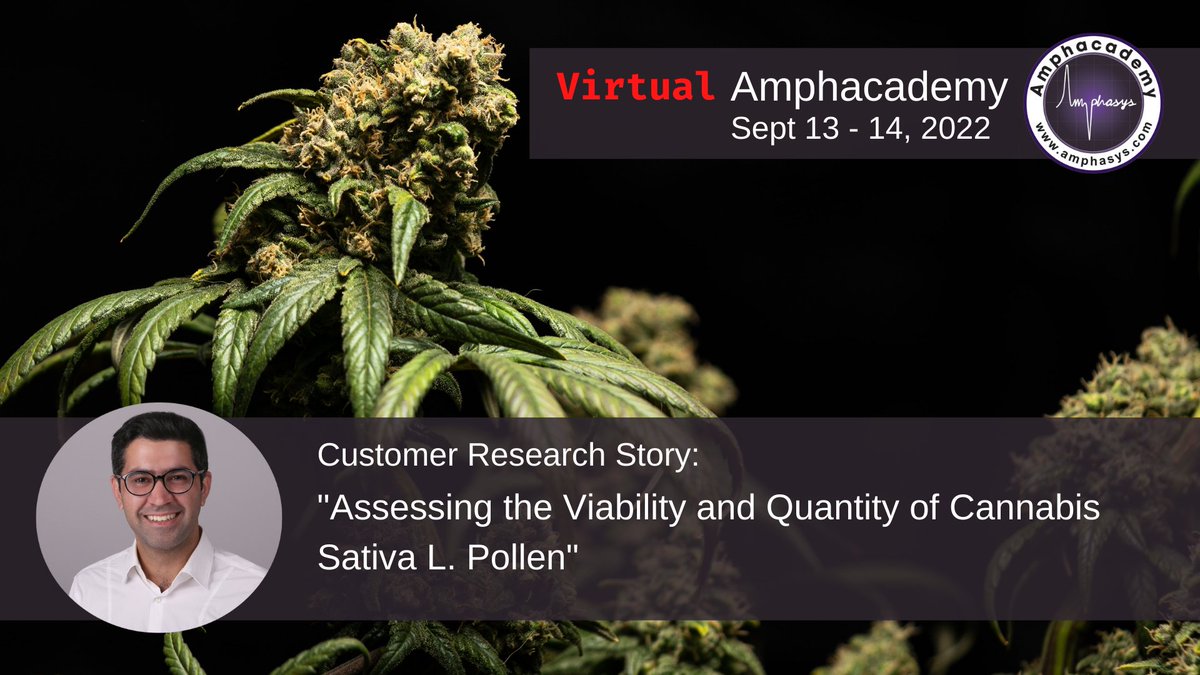 𝗩𝗶𝗿𝘁𝘂𝗮𝗹 𝗔𝗺𝗽𝗵𝗮𝗰𝗮𝗱𝗲𝗺𝘆 𝟮𝟬𝟮𝟮
Register here: amphasys.com/amphacademy/
In this online session, Hamza Rafiq as part of the Hohenheim working group, will give insight in their recent projects and how pollen viability measurement helps them to improve their genetics.