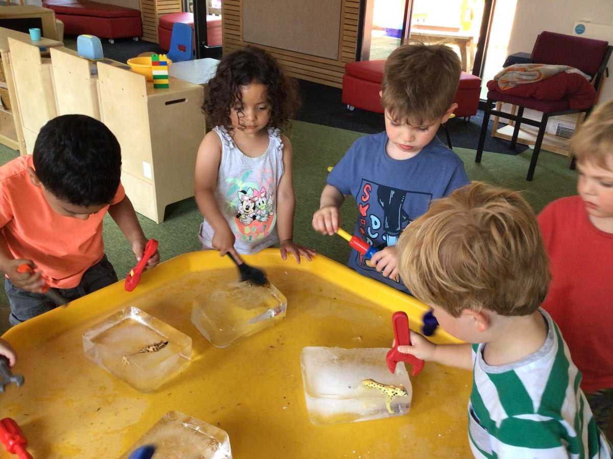 winterfoldhs's tweet photo. The children at Fun Club are rescuing the jungle animals from the blocks of ice. Another way to cool down on the hottest day of the year. #WinterfoldFunClub #SummerActivities https://t.co/F0rydw9ThI