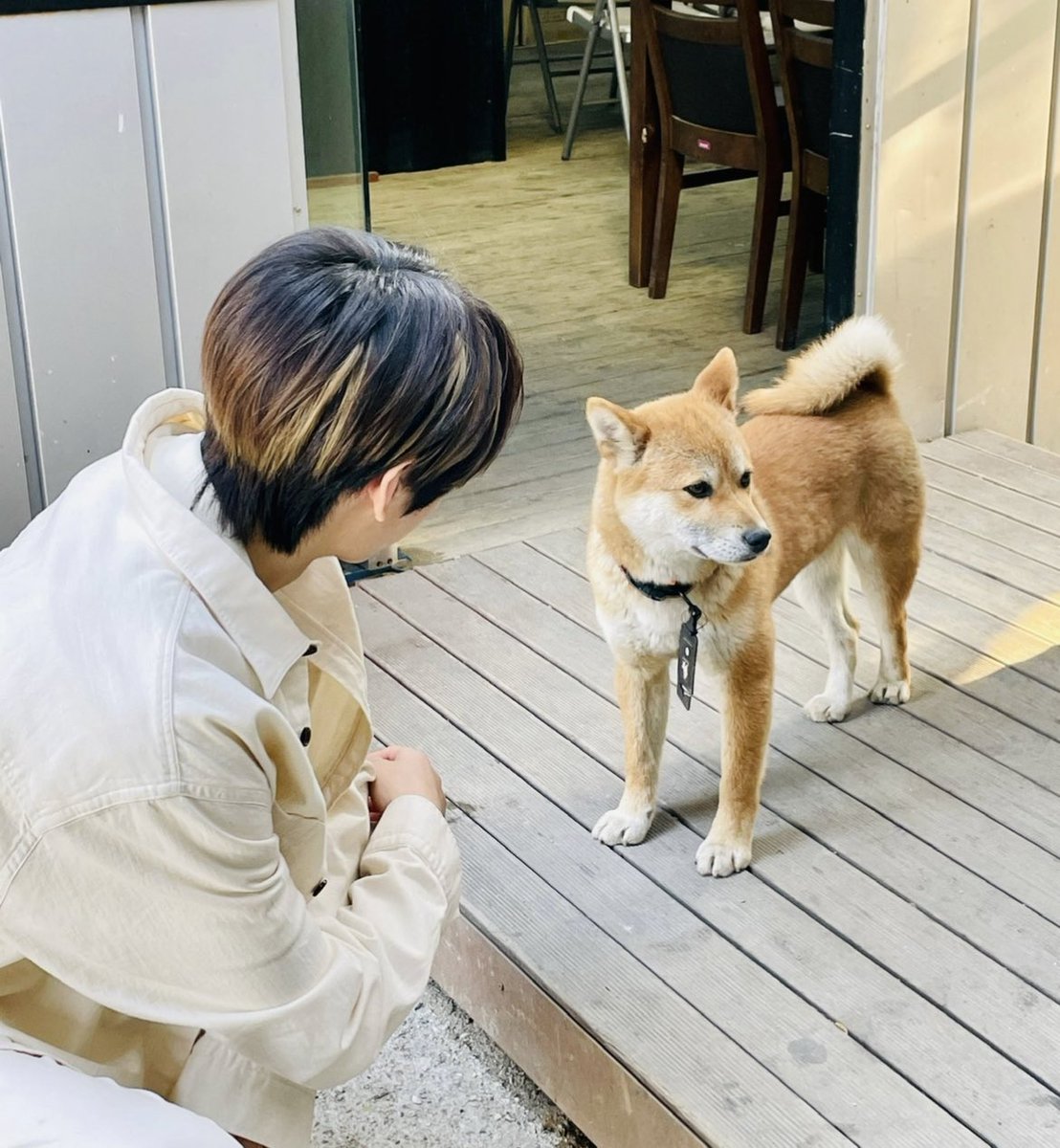 nyongjs_'s tweet photo. 성흔이 갈색 대형견 진짜 좋아하네 https://t.co/1vQw349dte