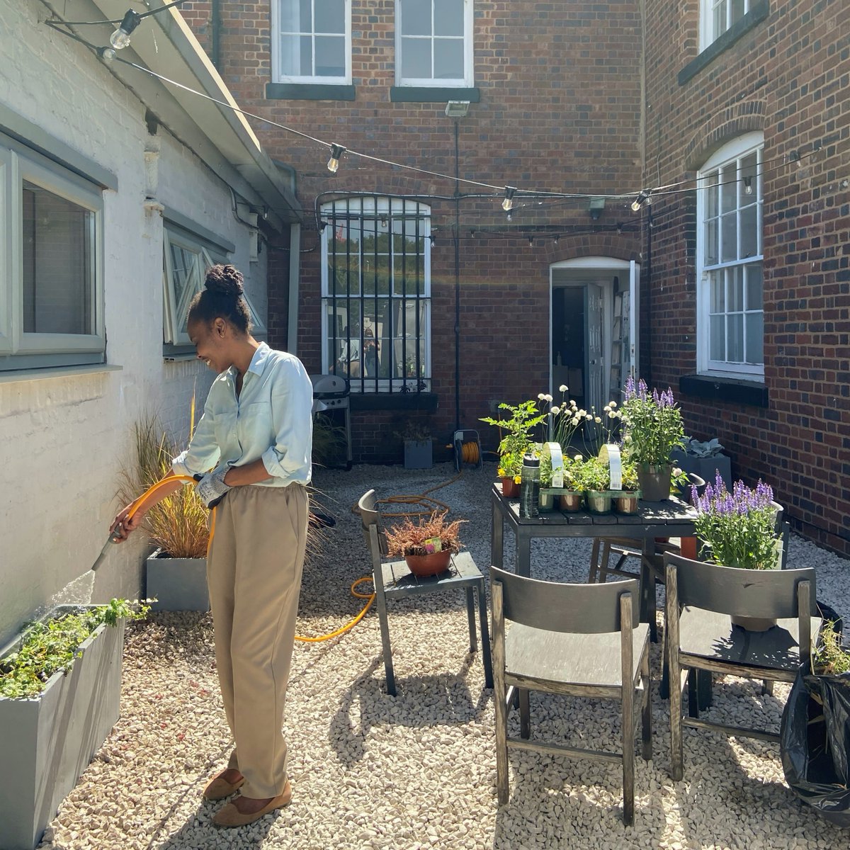 BGProjectsBHX's tweet photo. We've recently freshened up the #office yard and spent an afternoon planting flowers and shrubs!🌱 This is where we like to have our lunch, tea breaks and chill. It's also a space that staff can make their own - Check out our tomato plants!🍅#garden #architects #birmingham https://t.co/ecpOdAmHKi