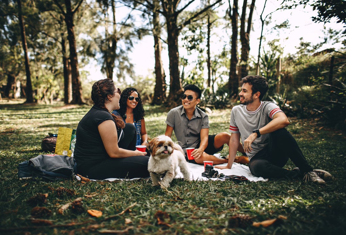 SmokeHistoryGM's tweet image. Quitting smoking will improve your sense of taste and smell in as little as 48 hours. 
Which means if you’re heading out for a picnic this #NationalPicnicMonth, your picnic snacks will taste even better!