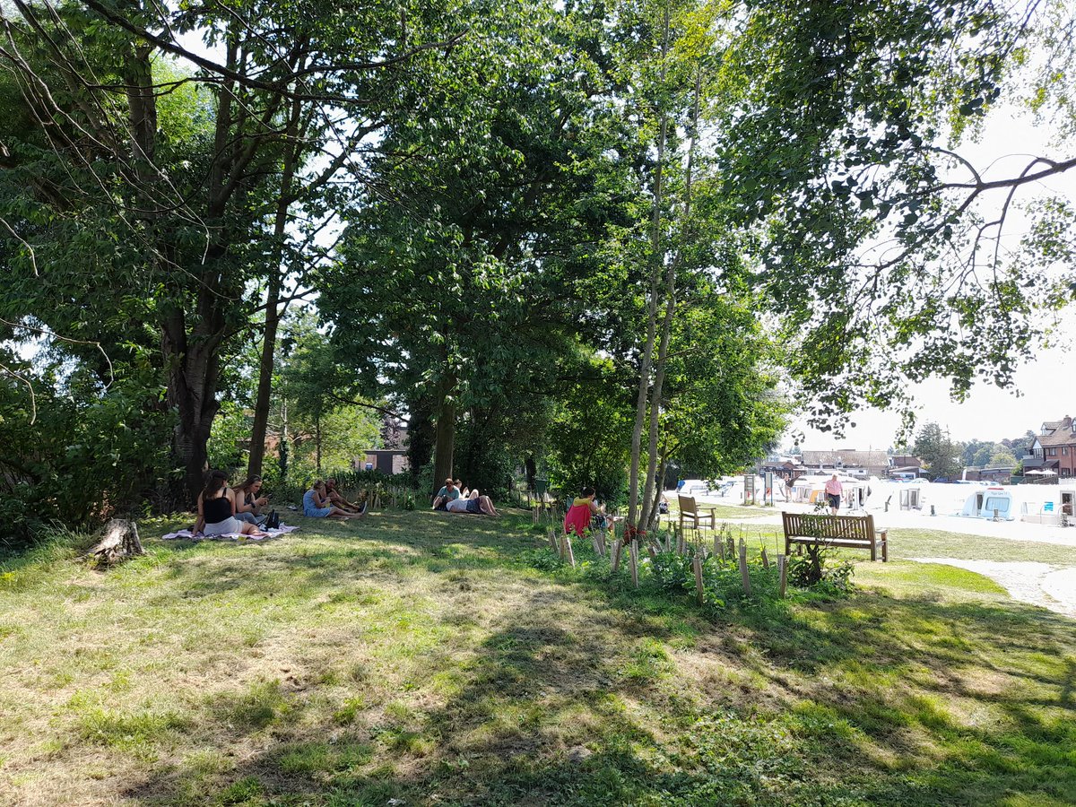 Picnics in the shade on the riverside greens🌞