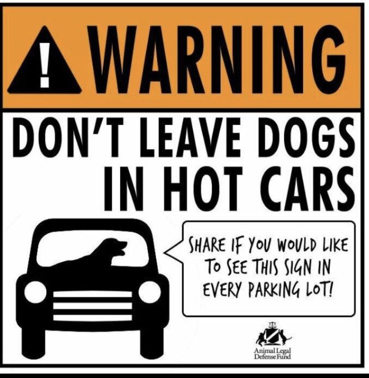 RedStripeRocco's tweet photo. Warning: Don’t leave dogs🐕🐩🦮🐕‍🦺 in hot cars🚗🔥🚙🔥‼️ https://t.co/xfGB4vlfnq