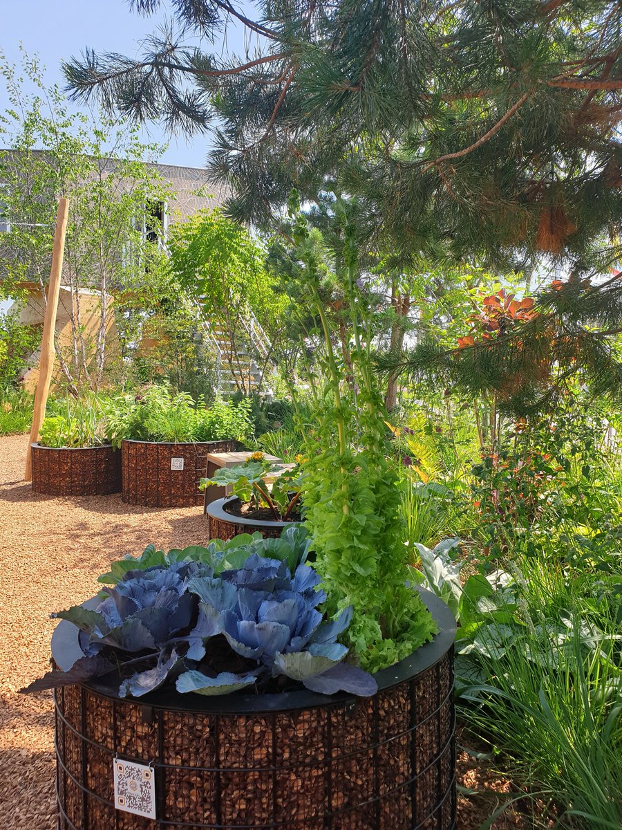 RealCarminski's tweet photo. Even uitpuffen in de prachtige schaduwrijke tuin van het #europarcs #floriadeexpo2022 paviljoen. https://t.co/5ZYeIUp6dG