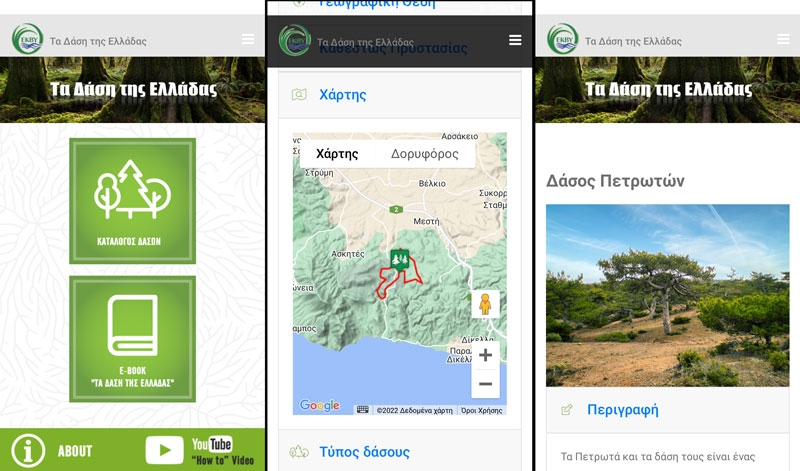 Μια νέα διαδικτυακή εφαρμογή που παρουσιάζει στο κοινό τα ελληνικά δάση, τη βιοποικιλότητά τους και τις απειλές που δέχονται, δημιούργησε το @ekby_greece κ το @YpenGr στο πλαίσιο του @LIFE_ForestLife @LIFEprogramme 🌳🌎📲 greekforests.gr ➡ bit.ly/3PyuOoG