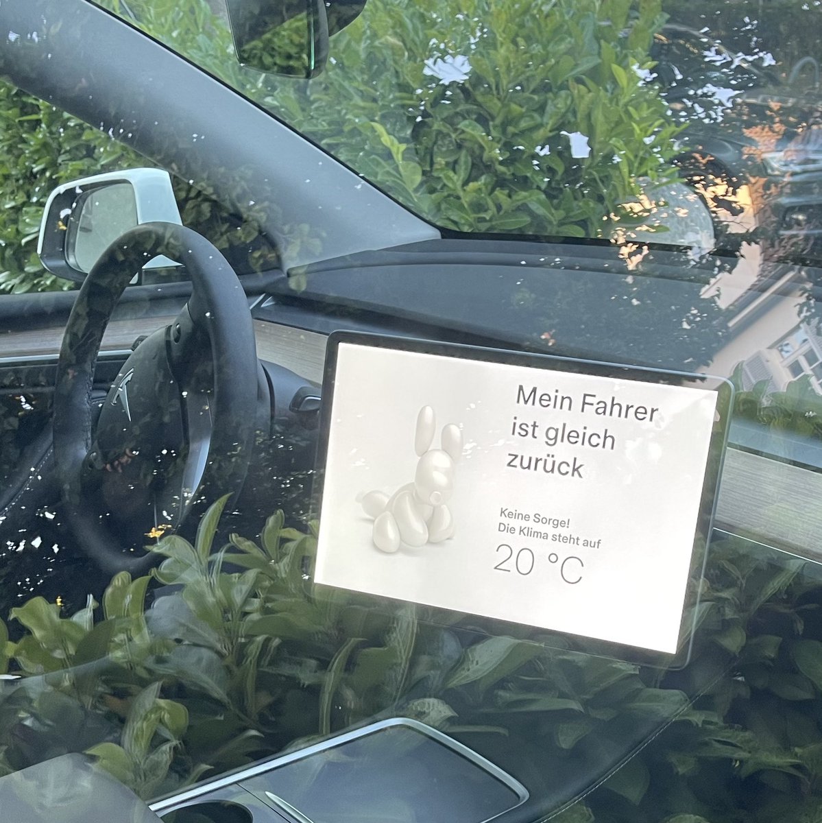 eteneues's tweet photo. #dogmode #tesla #modely @elonmusk https://t.co/TjAbNfsPze