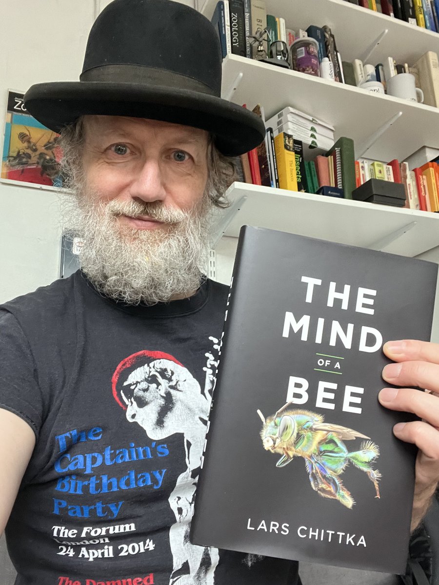 And ... it's out! After immaculate conception and a 5 year gestation period, this baby was finally born last night. According to Amazon, it weighs 1.35 pounds. Father and baby are healthy and happy.🙂