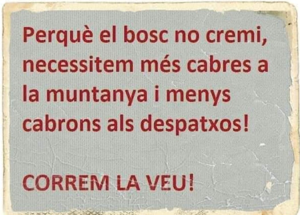 Afegeixo: Cal tenir els boscos nets i fer mes gestió forestal. Com a forestal penso i crec que no esta ben gestionat i per això  pasen aquestes coses. 
CAL ESTAR PENDENT DELS BOSCOS TOTS ELS DIES DE L'ANY!!!! 
#boscos #gestioforestal #forestal #incendisforestals