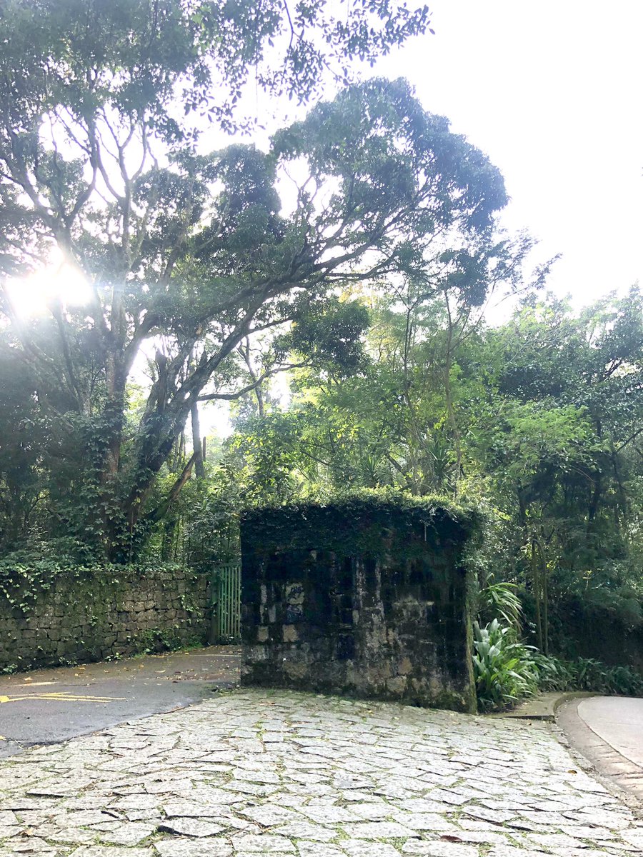 Lauraignez's tweet photo. Riding &amp; breathing, how’s that!? 🚴‍♂️#tuesdayride https://t.co/3s5yEAVKuJ
