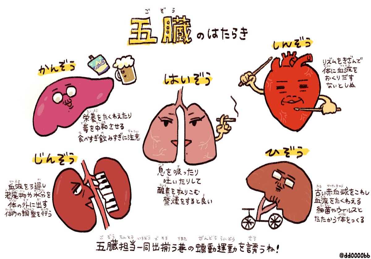 からだのしくみをまなぼうね! 