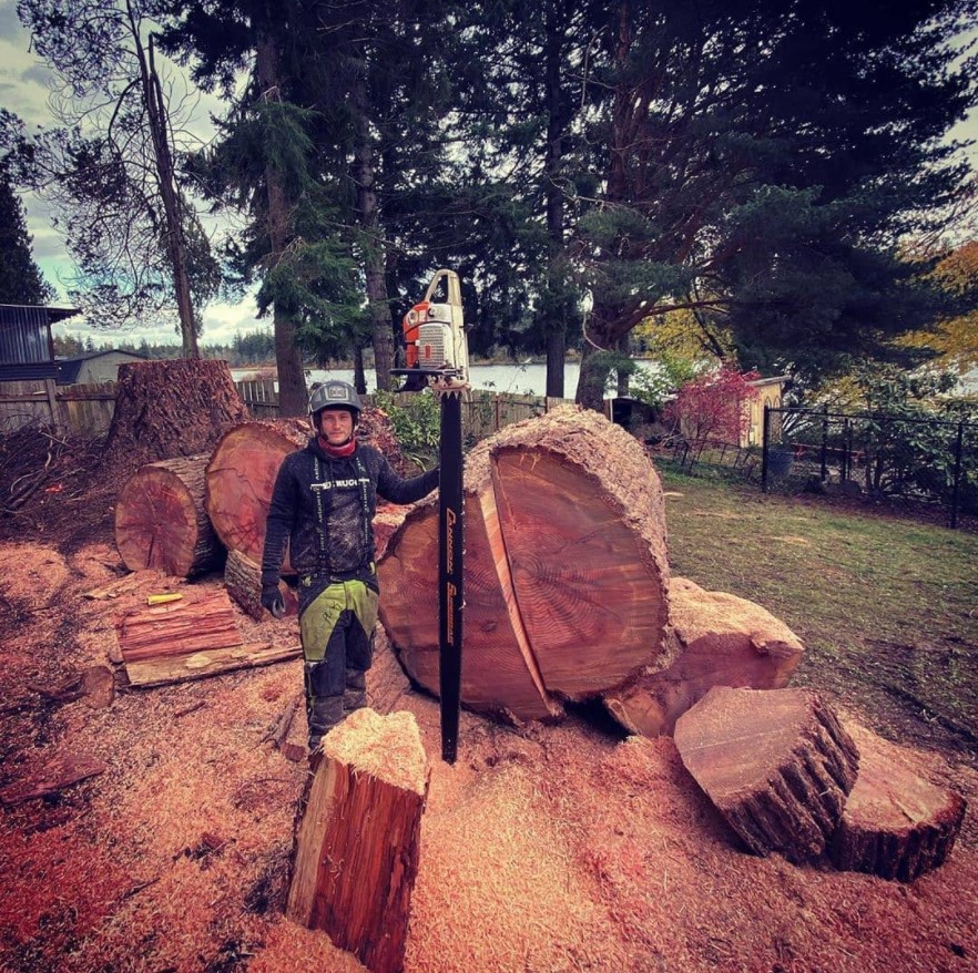 Follow her/his instagram for more post
#logger #logging #treecutting #arboristGot out the old campfire saw today. Pictures of big saws are way cooler than it is to use them. Via @olympia_tree_care
