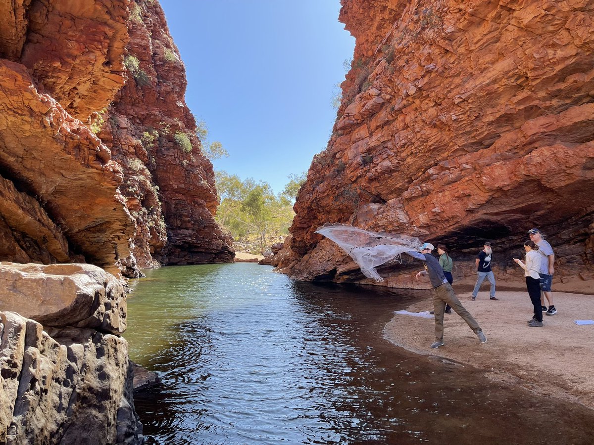 waterpenny10's tweet photo. A good day in the field- sampling fish &amp; aquatic invertebrates with students at Simpson’s Gap on the CDU Desert Field Ecology unit https://t.co/QTXDX4T1oa